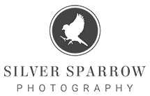 silver-sparrow-photography-logo